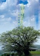Cover of 分享法鼓山