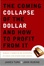 Cover of "The Coming Collapse of the Dollar and How to Profit from It"