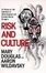 Cover of Risk and Culture