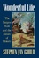 Cover of Wonderful Life