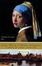 Cover of "Girl with a Pearl Earring"