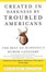 Cover of "Created in Darkness by Troubled Americans"