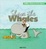 Cover of Shave the Whales