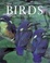 Cover of Encyclopedia of Birds, Second Edition