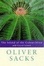 Cover of "The Island of the Colourblind"