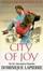 Cover of City of Joy