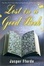Cover of "Lost in a Good Book"