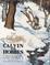 Cover of The Authoritative Calvin and Hobbes