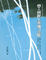Cover of "夢．前世．靈魂之旅"