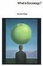 Cover of "What Is Sociology (European Perspectives"
