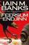 Cover of "Feersum Endjinn"
