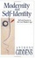 Cover of "Modernity and Self Identity"