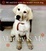 Cover of Marley & Me CD