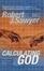 Cover of Calculating God