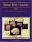 Cover of "Human Brain Function"