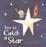 Cover of How to Catch a Star