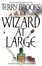 Cover of Wizard at Large