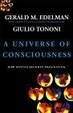 Cover of A Universe of Consciousness