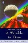 A Wrinkle in Time (Puffin Modern Classics)