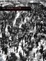 Cover of The Immune System