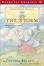 Cover of "The Storm"