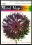 Cover of The Mind Map Book