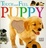 Cover of Touch and Feel