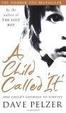 Cover of A Child Called It