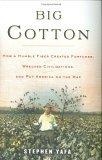 Big Cotton : How A Humble Fiber Created Fortunes, Wrecked Civilizations, and Put America on the Map