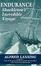 Cover of Endurance