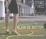 Cover of "Status Anxiety"