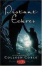 Cover of "Distant Echoes"