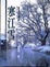 Cover of "寒江雪"