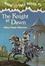 Cover of "The Knight at Dawn"