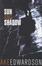 Cover of 'Sun and Shadow'