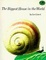 Cover of "The Biggest House in the World"