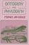 Cover of 'Ontogeny and Phylogeny'