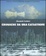 Cover of Cronache da una catastrofe