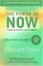 Cover of "The Power of Now"