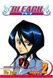 Cover of Bleach, Volume 2