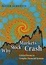 Cover of 'Why Stock Markets Crash'