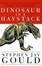 Cover of "Dinosaur in a Haystack"