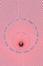 Cover of Ring