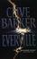 Cover of "Everville"