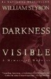 Cover of Darkness Visible