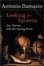 Cover of Looking for Spinoza