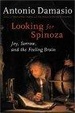 Cover of Looking for Spinoza