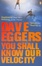 Cover of "You Shall Know Our Velocity"
