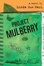 Cover of Project Mulberry