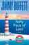 Cover of "A Salty Piece of Land"